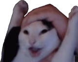wahoo emote