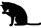Black_kitten emote