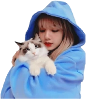 Blackpink_Lisax emote