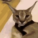 floppaAngry emoji