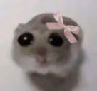 girl emote