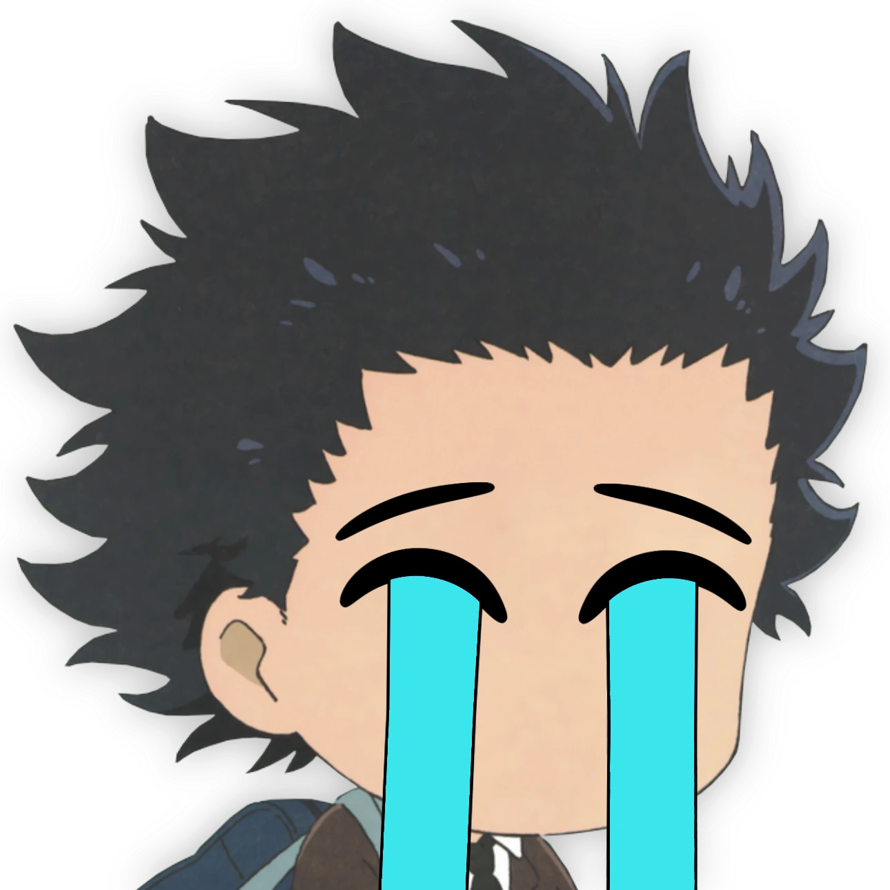 ShoyaIshida_SadCry emote