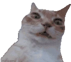Uhhh emote