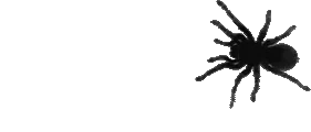 Spider emote