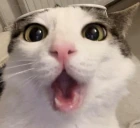 Pag emote