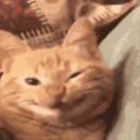 CE_WholesomeSmile emote