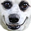 dogolacloser emote