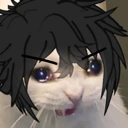 Elijah_cat_cry_unreliable emote