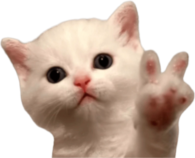 kittenpeace emote