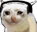 sadCatJam emote