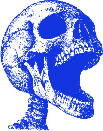 Skull19 emote