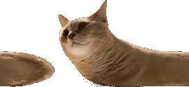 chorming animated emote