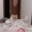 FunnyCat emote