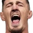 yell emote