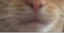 bottom emote