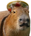 WEY emote