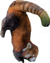 redpanda_facepalm emote
