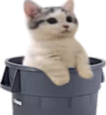 catsittingverycomfortablebutinatrashcan emote