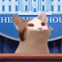Presidentbop emote