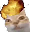 Ermexplode emote