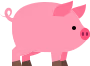 pig emote