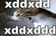 xddxdd emote