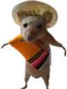 Alberto emote