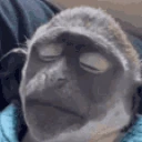 dave emote