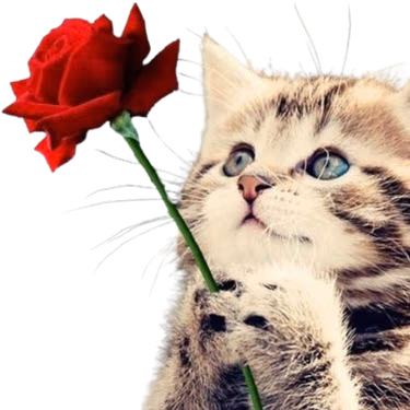 giverose emote