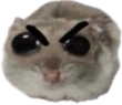 ohAngry emote