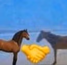 ShAlOm emote