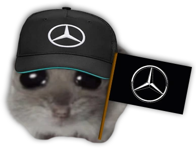 goMER emote