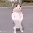 empeceajuga emote