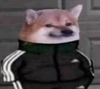 kurwaTen emote