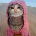CE_sadcat3 emote