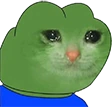 Pepe_Cat_Cry_2 emote
