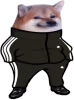 SlavDog emote