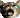 pixelcatsobsad animated emote