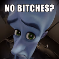 no_b1tches emote