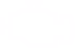 MotorEngine emote