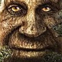 WiseTree emote