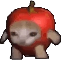 Applecatliftoff emote