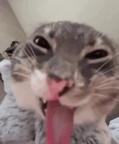 HEHEHE emote