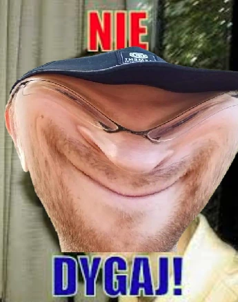 niedygaj static emote