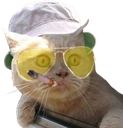 fear_and_loathing_cat emote