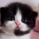 headset emote