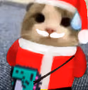 oopsie emote