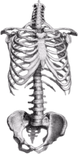 goth_skeleton emote