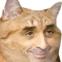 zemmourcat emote