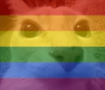 dosegay emote